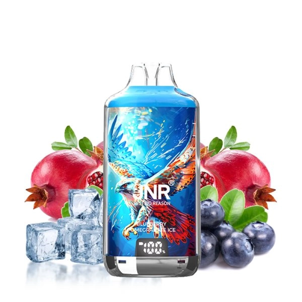 JNR 28000 – Blueberry Pomegranate Ice 1 JNR 28000 – Blueberry Pomegranate Ice