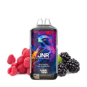Puff jetable JNR 28000 puffs saveur mûre et framboise rouge
