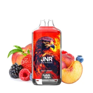Puff jetable JNR Peach Berry 28000 puffs saveur pêche et fruits rouges